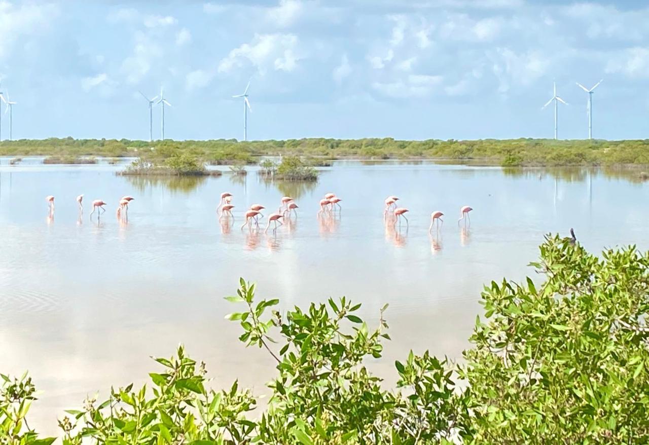La Casa Del Mangle Villa Pueblo Pueblo Chicxulub Eksteriør billede