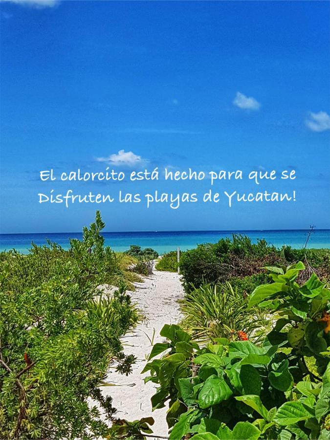 La Casa Del Mangle Villa Pueblo Pueblo Chicxulub Eksteriør billede