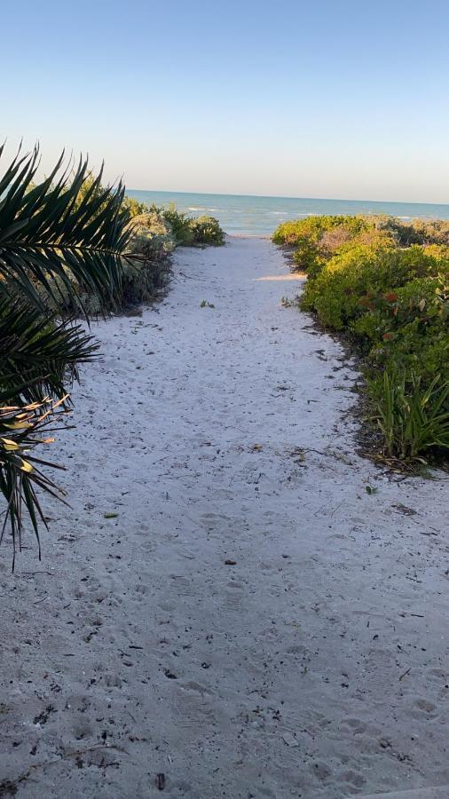 La Casa Del Mangle Villa Pueblo Pueblo Chicxulub Eksteriør billede