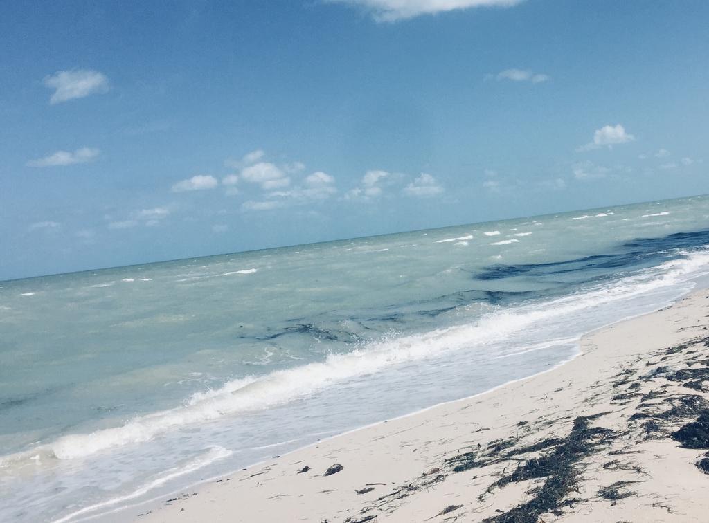 La Casa Del Mangle Villa Pueblo Pueblo Chicxulub Eksteriør billede